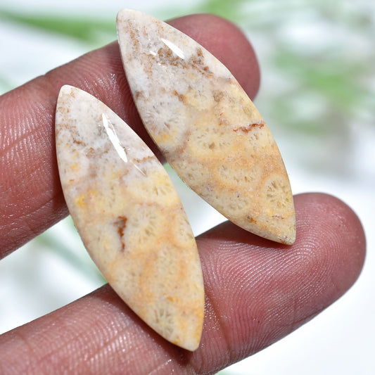 Hand-Polished Fossil Coral Pair – Jewelry Making Gemstones(11x35x2mm,/28ct)