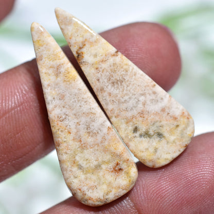 Floral Fossil Coral Gemstones – Exquisite Matched Cabochons(10x32x3mm,/22ct)