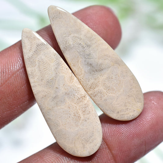 Wholesale Fossil Coral Teardrop Pair – Organic Handcrafted Gemstones(12x37x3mm,/36ct)