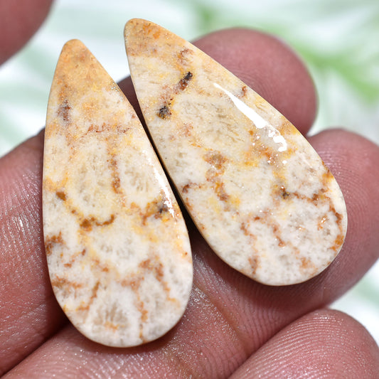 Natural Fossil Coral Matched Pair – Exquisite Teardrop Cabochons(10x27x2mm,/20ct)