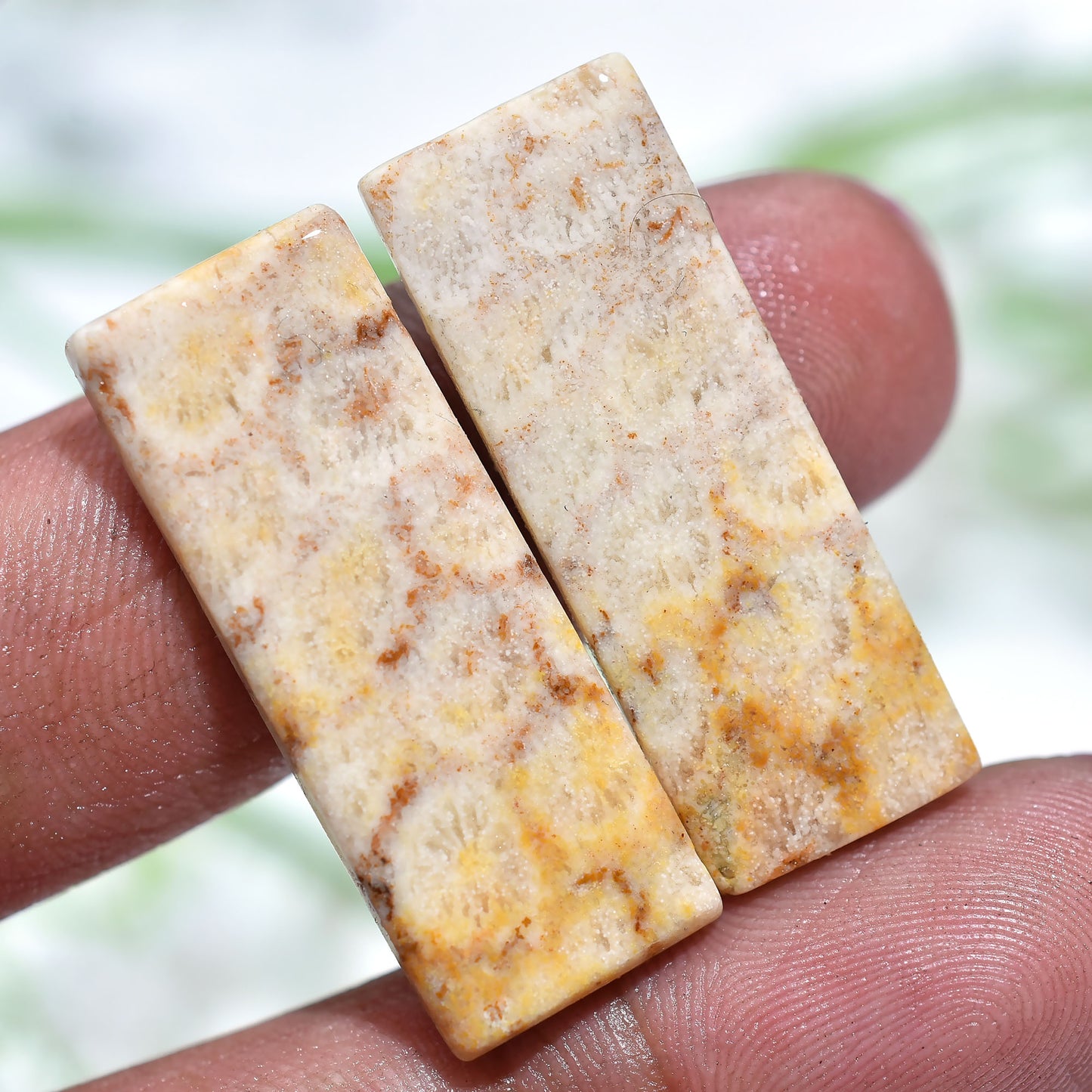 Premium Fossil Coral Cabochons – Natural Hand-Polished Pair(11x31x2mm,/30ct)