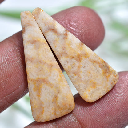 Authentic Fossil Coral Gemstones – Matched Fancy Cabochon Set(10x30x3mm,/23ct)