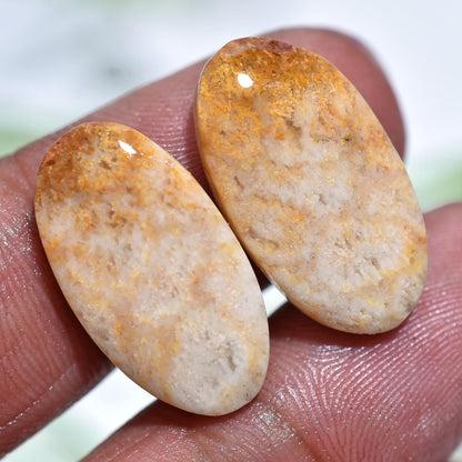 Fossil Coral Earrings Pair – Wholesale Loose Cabochon Gemstones(10x20x2mm,/16ct)