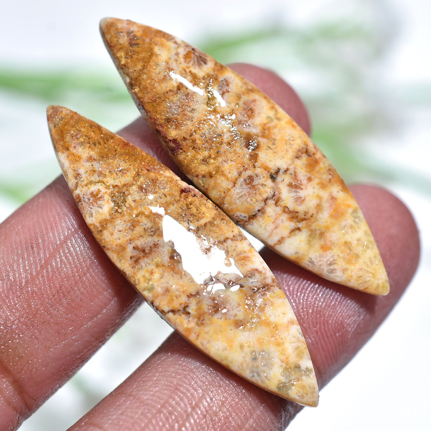 Gorgeous Fossil Coral Earring Stones – Wholesale Loose Gem Pair