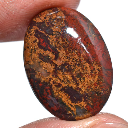 Oval Bloodstone Cabochon – Natural Gemstone for Jewelry Making (17x24x3mm,/17ct)
