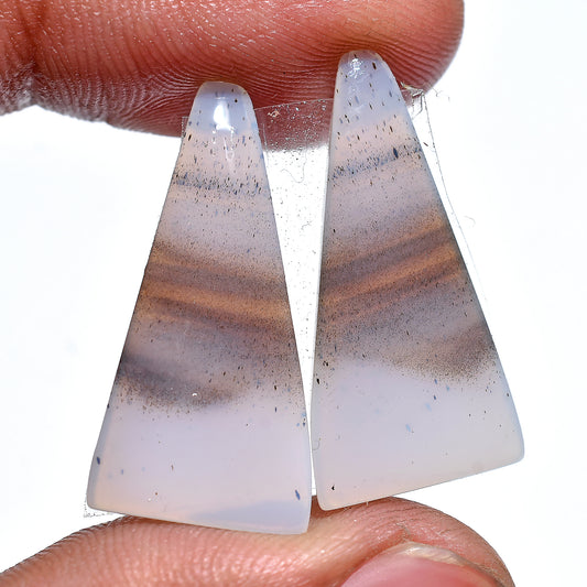 Natural Montana Agate Pair Cabochon, Fancy Shape Matched Earring Gemstones