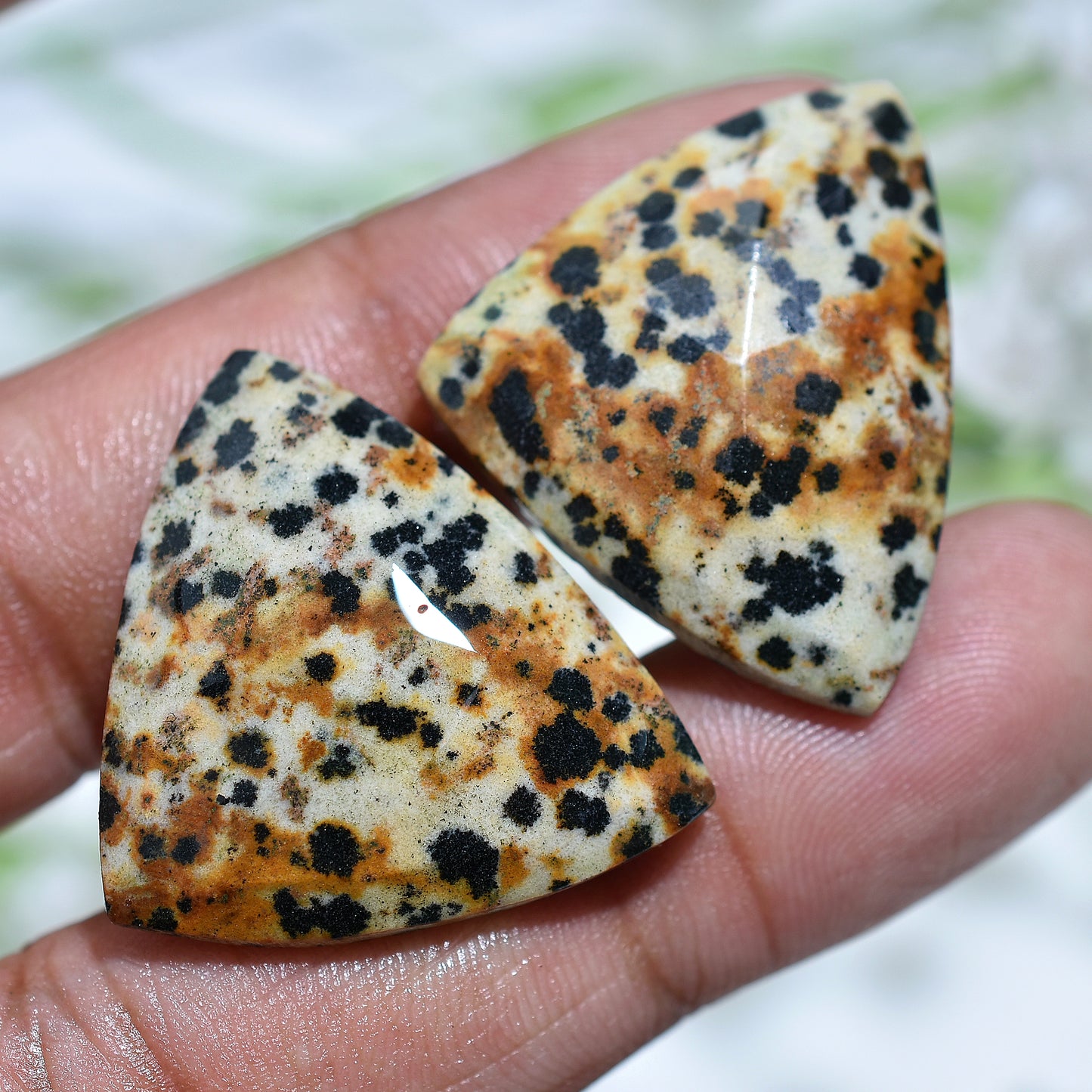 Spotlight Dalmatian Jasper Pair – Wholesale Faceted Rose Cut Stone Set for Jewelry
