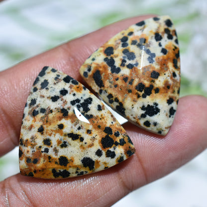 Spotlight Dalmatian Jasper Pair – Wholesale Faceted Rose Cut Stone Set for Jewelry