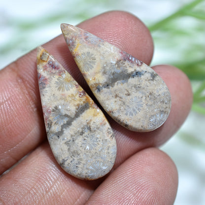 Sunburst Fossil Coral Gemstone Pair-Unique Patterned Stones for Custom Jewelrty