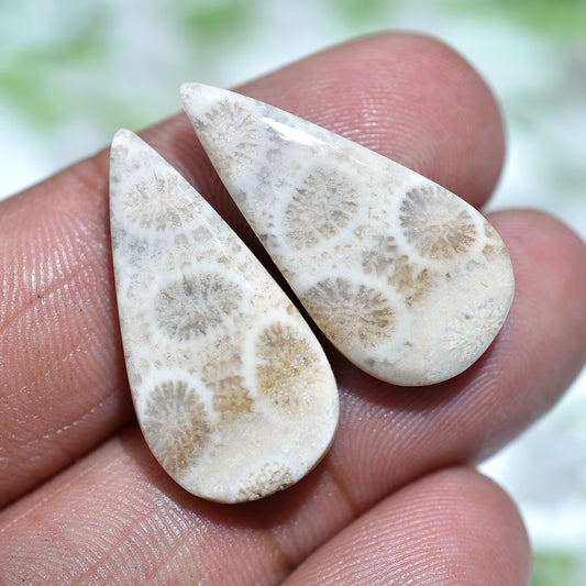 Ancient Reef Fossil Coral Gemstone Pair –  Wholesale Natural Matched Stone Set For Jewelry