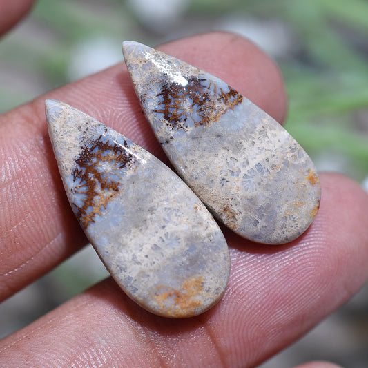 Ocean Memory Fossil Coral Stone Set – Wholesale Polished Gemstone pair for Earrings