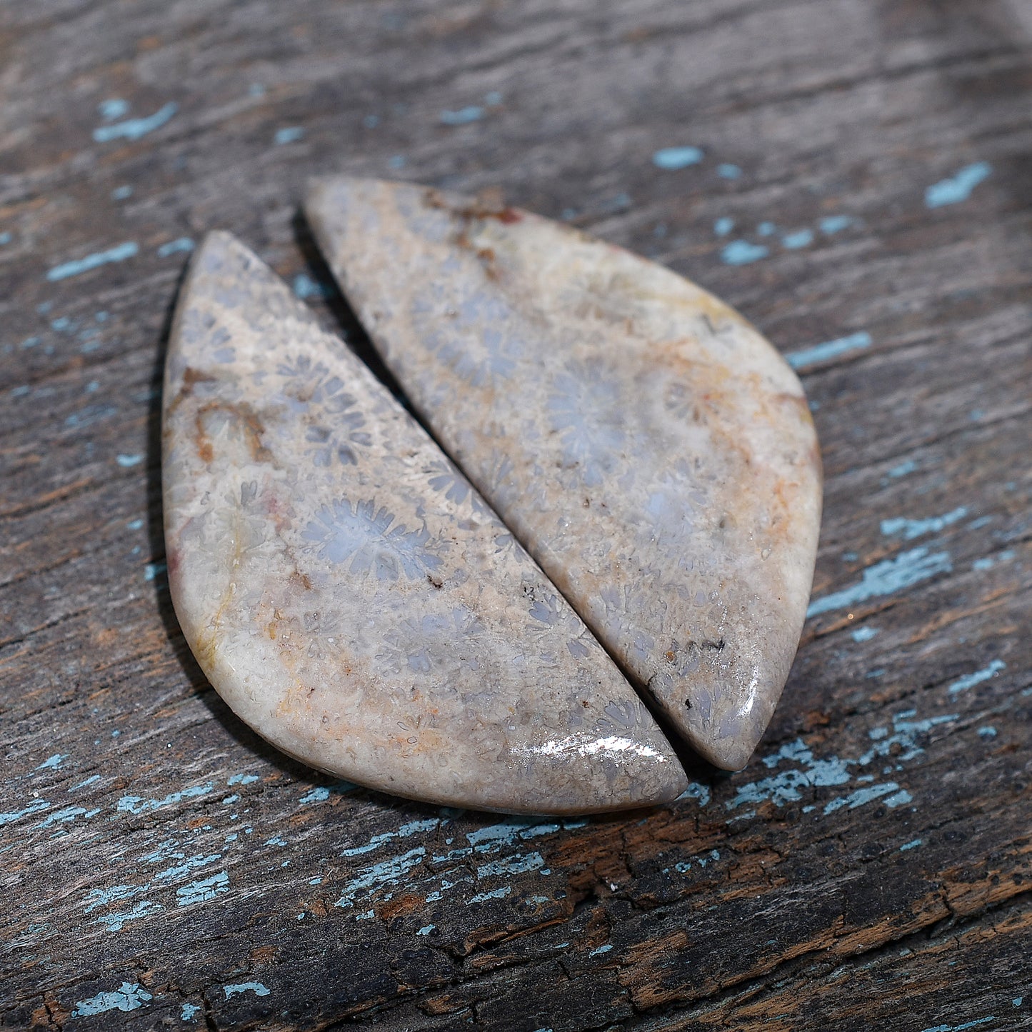 Elegant Bloom Coral Fossil Gemstone Pair – Wholesale Earthy Patterned Stones for Jewelry