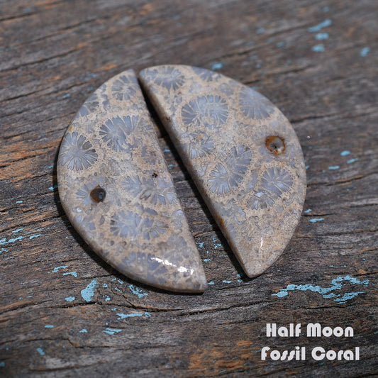 Prehistoric Sea Fossil Coarl Gemstone Pair – Wholesale Stone Set for Earrings Jewellery
