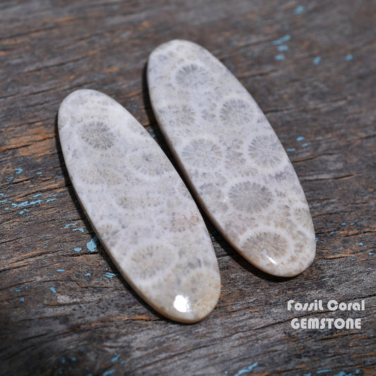 Eternal Reef Fossil Coral Gemstone Pair – Texture Oval Cut Stone Set for Wholesale Jewelry