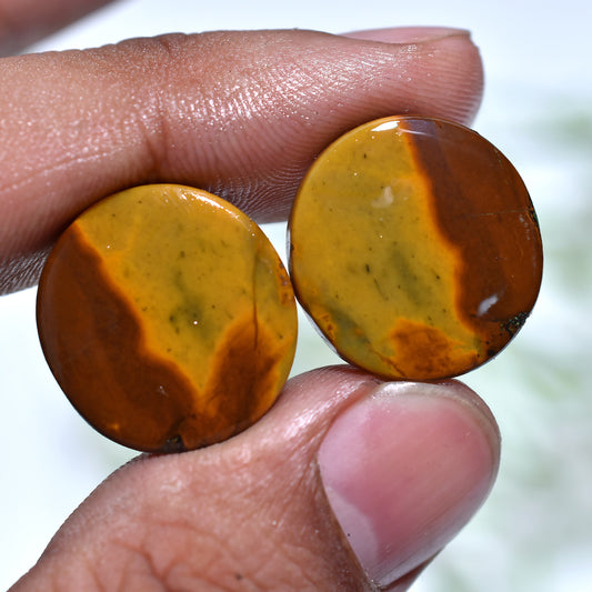 Rustic Iron Tiger Eye Gem Pair – Natural Earth Warm Tone Stones for Wholesale Jewelry