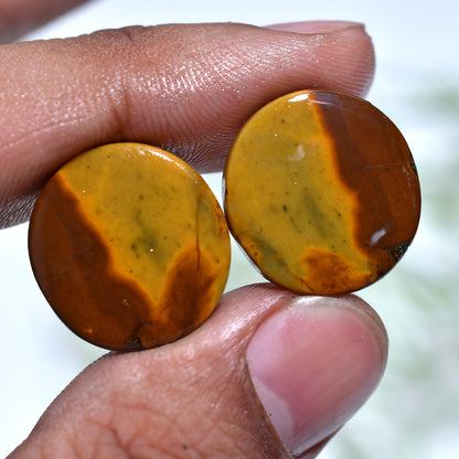 Rustic Iron Tiger Eye Gem Pair – Natural Earth Warm Tone Stones for Wholesale Jewelry
