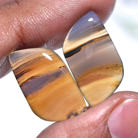 Natural Earth-Tone Montana Agate Set– Wholeasale Gemstone Pair Smooth Polished Earring