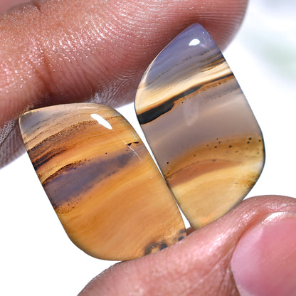 Natural Earth-Tone Montana Agate Set– Wholeasale Gemstone Pair Smooth Polished Earring