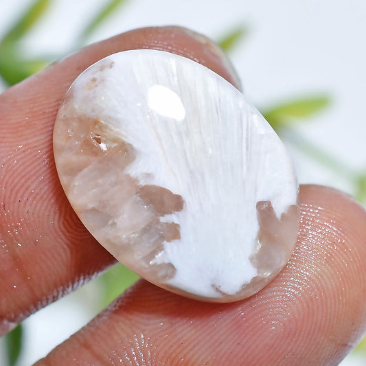 Natural Scolecite Cabochon – Smooth White Gemstone for 

Natural Scolecite Cabochon – Hand-polished white gemstone with silky patterns, perfect for pendants, rings, and designer handmade jewelry pieces.




scolecite, scolecite cabochon, white gemstone, natural gemstone, polished stone, jewelry making, crystal cabochon, loose gemstone, healing crystal, smooth cabochon, gemstone supplies, pendant stone, handmade jewelry, designer gemstone, flat back cabochon