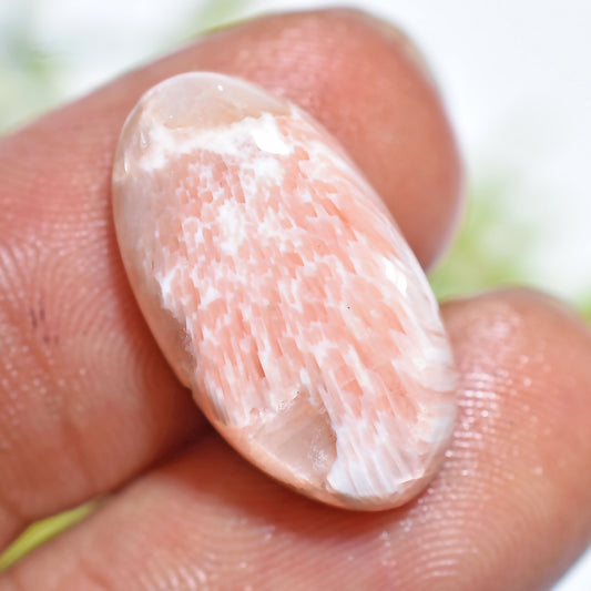 Natural Scolecite Cabochon – Smooth White Gemstone for 

Natural Scolecite Cabochon – Hand-polished white gemstone with silky patterns, perfect for pendants, rings, and designer handmade jewelry pieces.




scolecite, scolecite cabochon, white gemstone, natural gemstone, polished stone, jewelry making, crystal cabochon, loose gemstone, healing crystal, smooth cabochon, gemstone supplies, pendant stone, handmade jewelry, designer gemstone, flat back cabochon