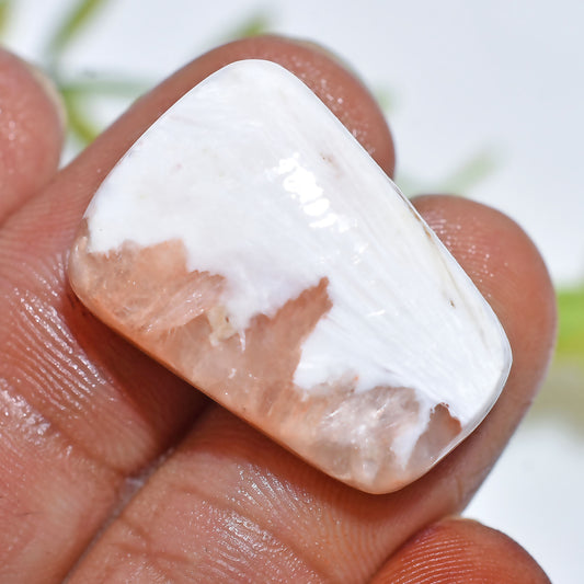 Natural Scolecite Cabochon – Smooth White Gemstone for 

Natural Scolecite Cabochon – Hand-polished white gemstone with silky patterns, perfect for pendants, rings, and designer handmade jewelry pieces.




scolecite, scolecite cabochon, white gemstone, natural gemstone, polished stone, jewelry making, crystal cabochon, loose gemstone, healing crystal, smooth cabochon, gemstone supplies, pendant stone, handmade jewelry, designer gemstone, flat back cabochon