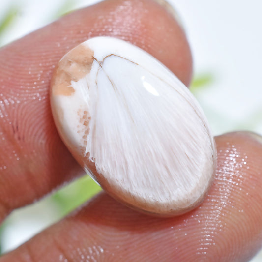Natural Scolecite Cabochon – Smooth White Gemstone for 

Natural Scolecite Cabochon – Hand-polished white gemstone with silky patterns, perfect for pendants, rings, and designer handmade jewelry pieces.




scolecite, scolecite cabochon, white gemstone, natural gemstone, polished stone, jewelry making, crystal cabochon, loose gemstone, healing crystal, smooth cabochon, gemstone supplies, pendant stone, handmade jewelry, designer gemstone, flat back cabochon