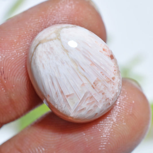 Natural Scolecite Cabochon – Smooth White Gemstone for 

Natural Scolecite Cabochon – Hand-polished white gemstone with silky patterns, perfect for pendants, rings, and designer handmade jewelry pieces.




scolecite, scolecite cabochon, white gemstone, natural gemstone, polished stone, jewelry making, crystal cabochon, loose gemstone, healing crystal, smooth cabochon, gemstone supplies, pendant stone, handmade jewelry, designer gemstone, flat back cabochon