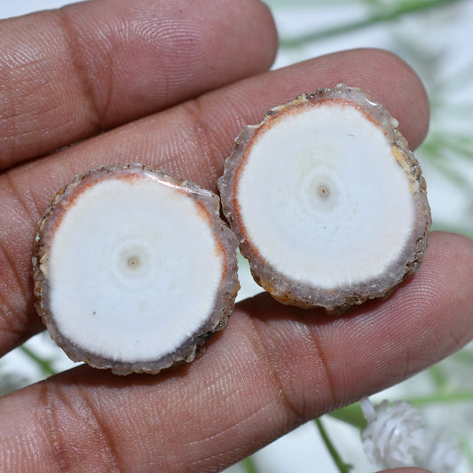 Ethereal White Solar Quartz Gemstone Pair –  Stalactite Slice for Elegant Jewelry