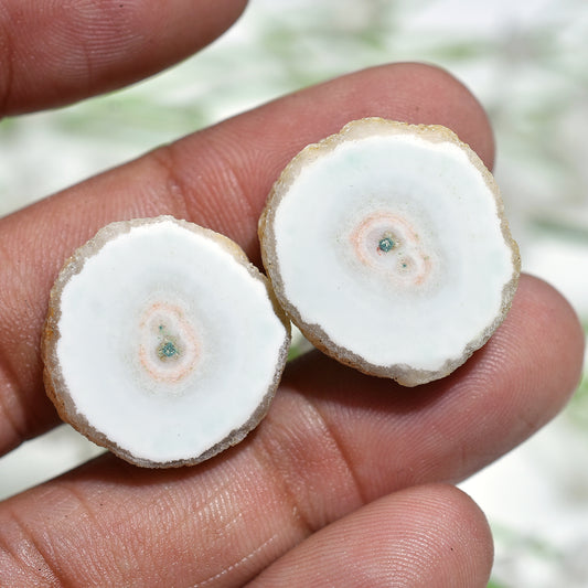 Celestial White Solar Quartz Stalactite Gemstone Pair – Unique Slices for Artisan Earrings