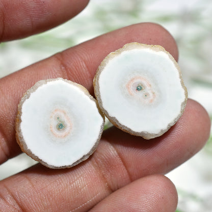 Celestial White Solar Quartz Stalactite Gemstone Pair – Unique Slices for Artisan Earrings