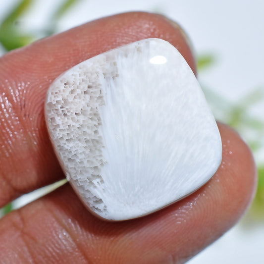 Natural Scolecite Cabochon – Smooth White Gemstone for 

Natural Scolecite Cabochon – Hand-polished white gemstone with silky patterns, perfect for pendants, rings, and designer handmade jewelry pieces.




scolecite, scolecite cabochon, white gemstone, natural gemstone, polished stone, jewelry making, crystal cabochon, loose gemstone, healing crystal, smooth cabochon, gemstone supplies, pendant stone, handmade jewelry, designer gemstone, flat back cabochon