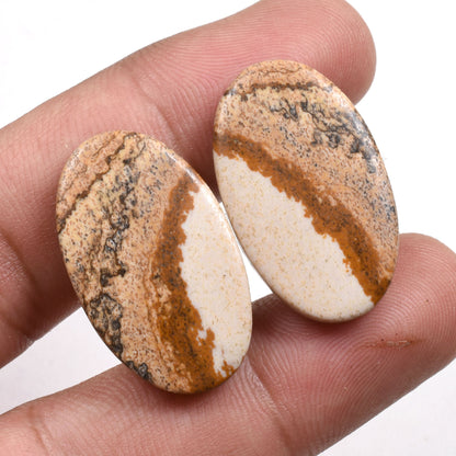 Oval Picture Jasper Gemstone Pair - Matched Cabochons for Earrings & Wholesale Jewelry