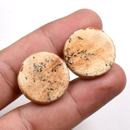 Oval Picture Jasper Gemstone Pair - Matched Cabochons for Earrings & Wholesale Jewelry