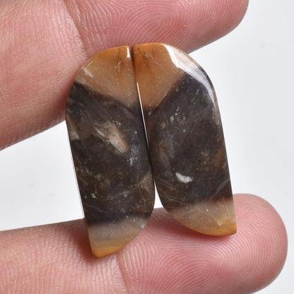 Wholesale Indonesian Palm Root Agate Pair - Natural Fossil loose Stone For Jewelry