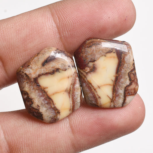 Jasper Earring Pair - Matching Mix Gemstone Cabochons for Earring Making