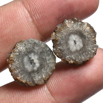 Top-Quality Grey Solar Quartz Pair – Fancy Shape Agate Slice Cabochons for Earrings