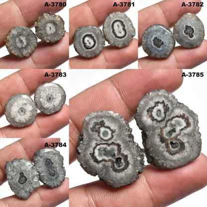 Top-Quality Grey Solar Quartz Pair – Fancy Shape Agate Slice Cabochons for Earrings