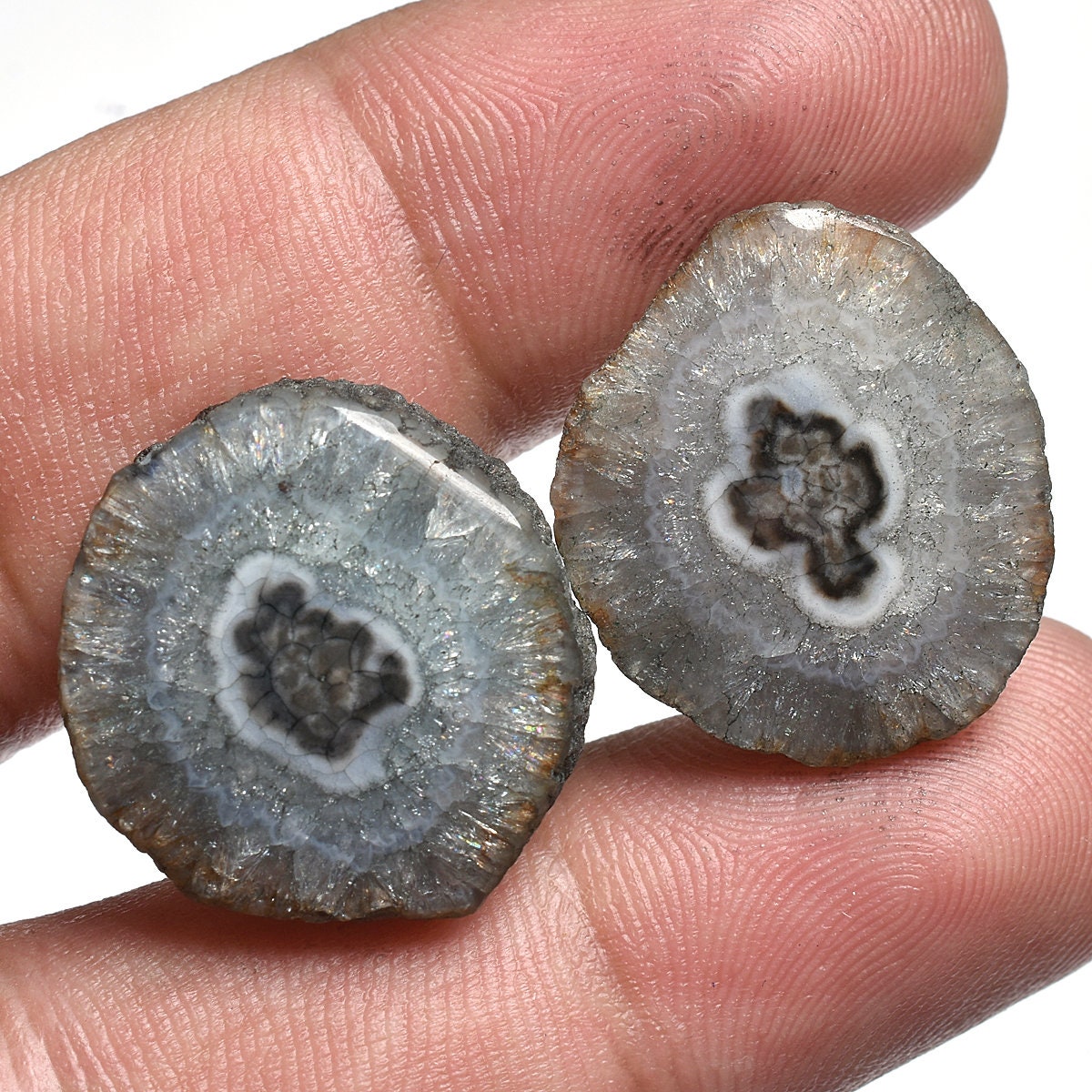 Top-Quality Grey Solar Quartz Pair – Fancy Shape Agate Slice Cabochons for Earrings