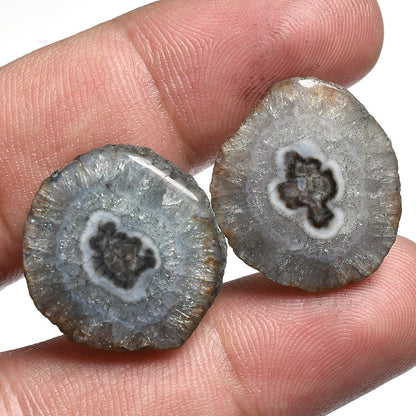 Top-Quality Grey Solar Quartz Pair – Fancy Shape Agate Slice Cabochons for Earrings