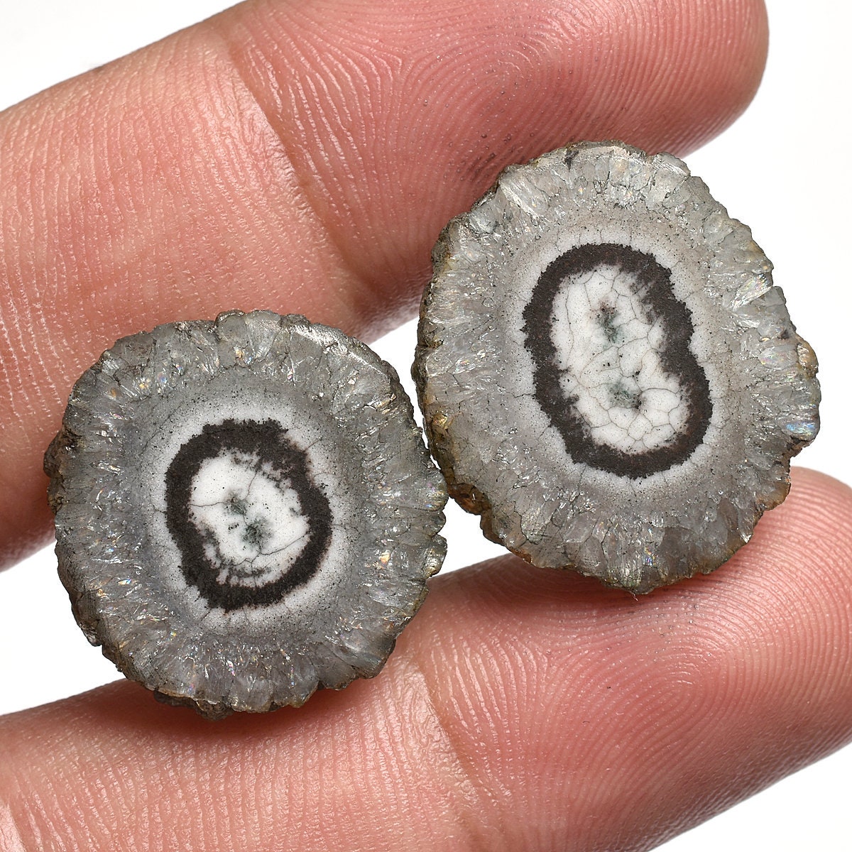 Top-Quality Grey Solar Quartz Pair – Fancy Shape Agate Slice Cabochons for Earrings