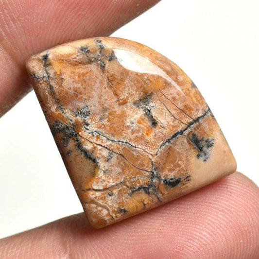 Multi Loose Gemstone Cabochon - Wholesale Mix Shape Natural Gemstones