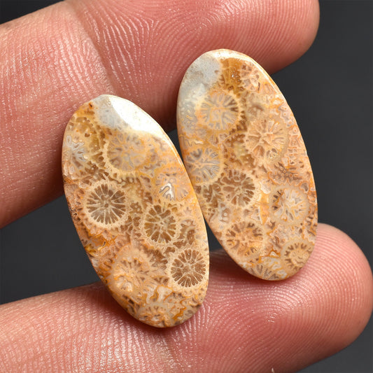 Fossil Coral Earrings Pair – Oval shape, Unique Flower Pattern Dangle Gemstone Earrings