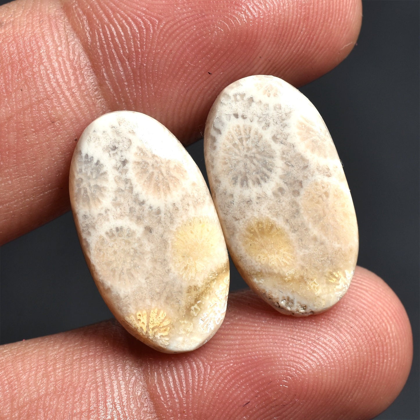 Polished Fossil Coral Matching Pair, Unique Jewelry-Making Gemstones
