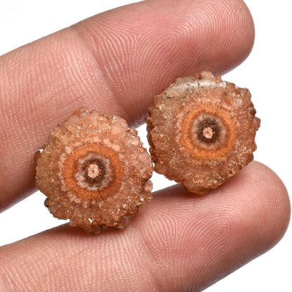 Solar Quartz Pair -  Solar Druzy Stalactite Slice Gemstones for Earrings