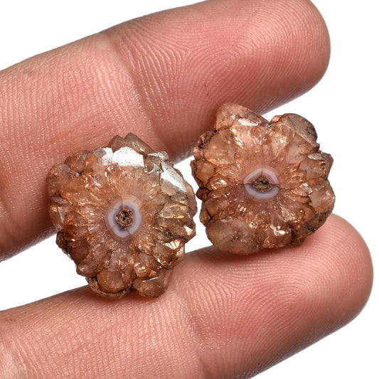 Brown Color Solar Quartz Earrings Set - Stalactite Slices Crystal Matching Pair