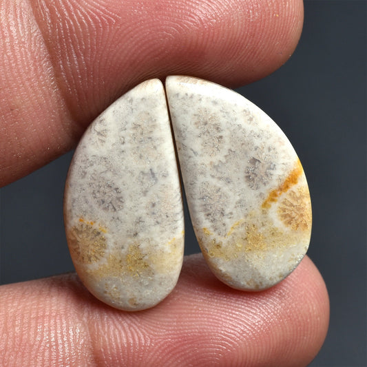 Fossil Coral Earrings Pair, Natural Gemstones for Custom Jewelry Designs
