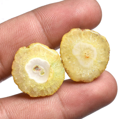 Solar Quartz Pair -  Solar Druzy Stalactite Slice Gemstones for Earrings