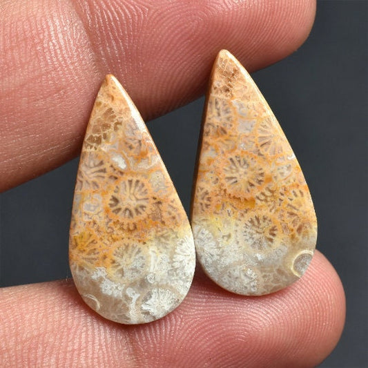 Fossil Coral Cabochon Pair – Pear Shaped Smooth Gemstone for Earrings, Matched Pair