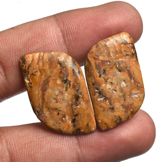 Natural Jasper Gemstone Pairs - Oval Fancy Matching Cabochons for Earrings