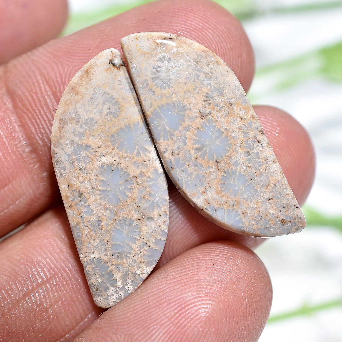 Unique Flower Fossil Coral Matching Pair - Fancy Shape Fossil Coral Earrings Pair for Women